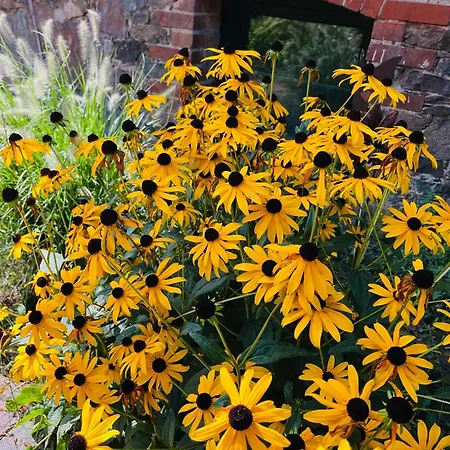 Gutshof Von Gemuenden 1 아파트