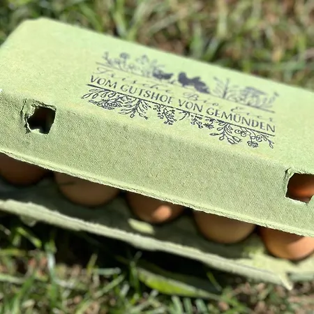 아파트 Gutshof Von Gemuenden 1 *