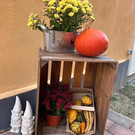 Gutshof Von Gemuenden 1 Appartement *