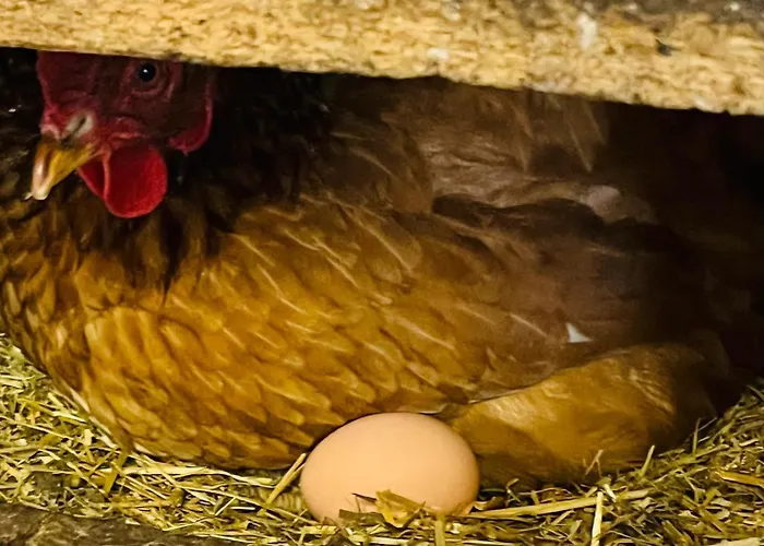 Gutshof Von Gemuenden 1 Apartament Bernau bei Berlin