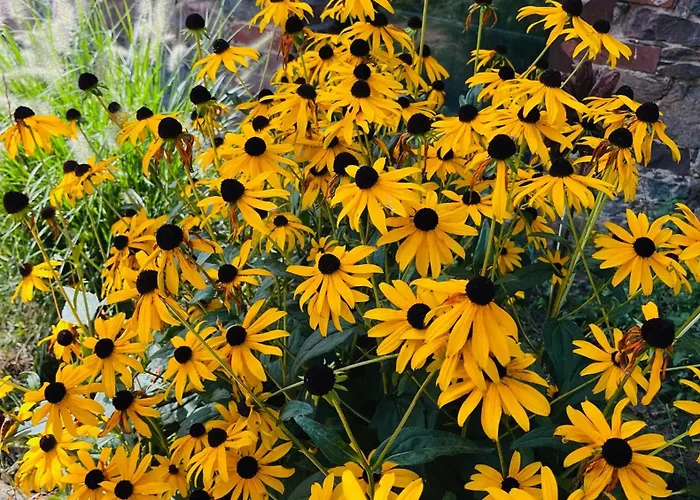 Gutshof Von Gemuenden 1 Apartament