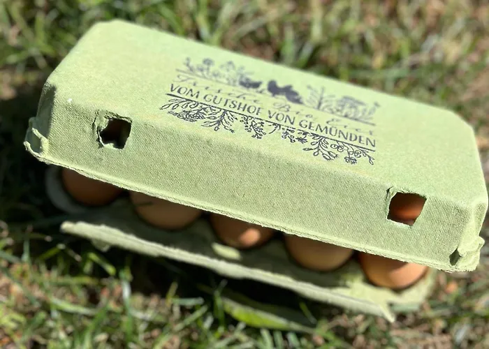 Apartamento Gutshof Von Gemuenden 1 *