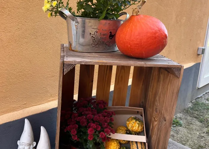 Gutshof Von Gemuenden 1 Apartament *